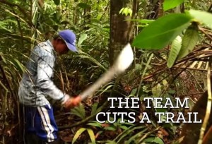 How to Cut a Trail in Amazonia