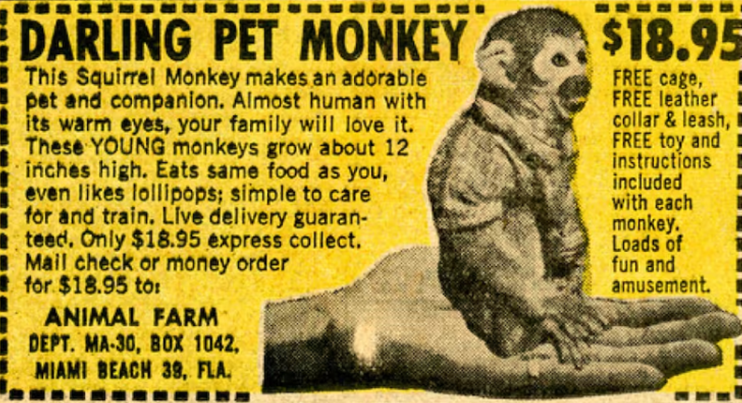 Mail-Order Monkeys?